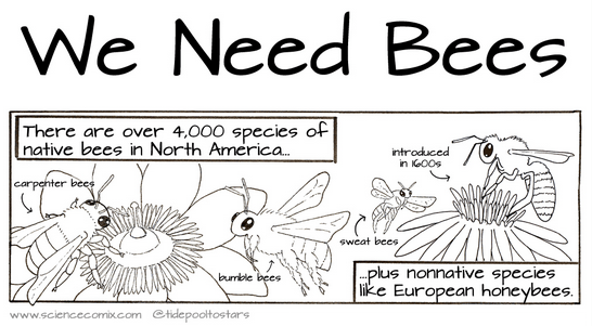 We need bees!