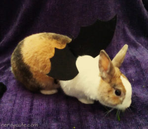 Hooper the Office Bunny tries on his bat wings