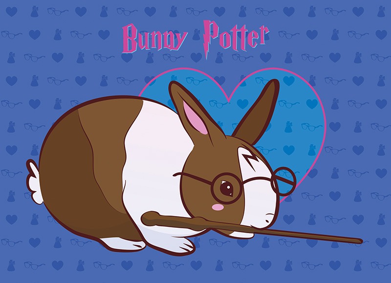 NC-postcard-bunnypotter-web