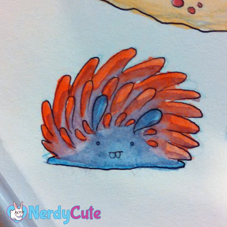 Nudibranch, by Fred