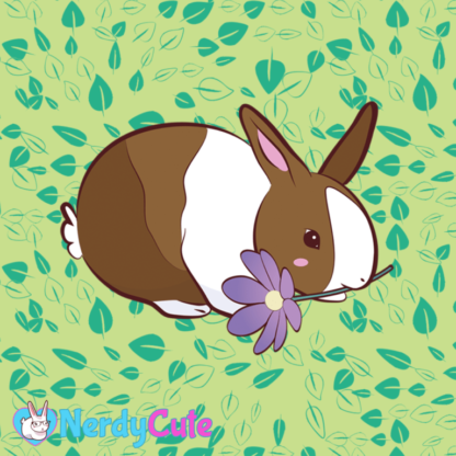 Bunny - Dutch